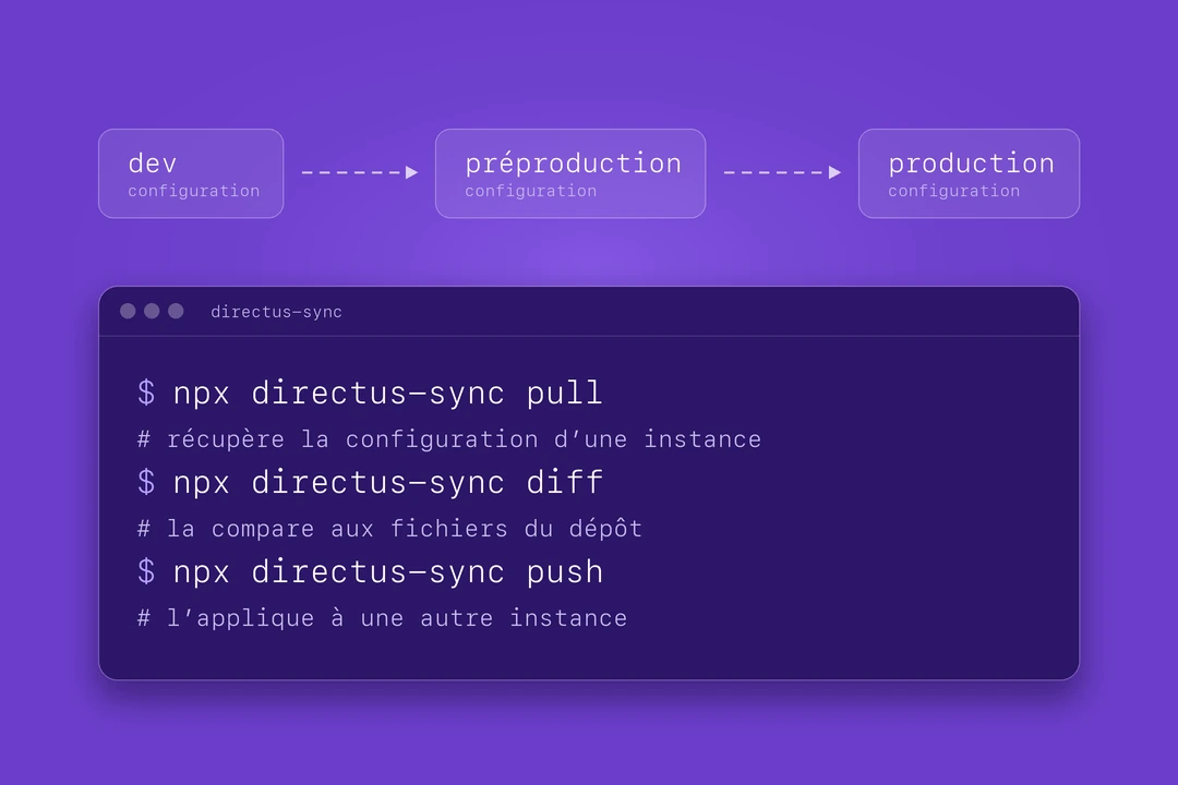 Directus-Sync, product preview