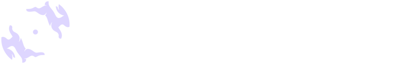 Directus-Sync